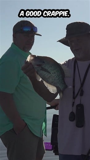 Have You Ever Experienced Crappie Fishing on Ross Barnett?⁠ ⁠ Mississippi Outdoors host Kevin Meacham heads to the Ross Barnett Reservoir for a day of crappie fishing with longtime friend Joe Ashley. Set against one of Mississippi’s most popular fishing destinations, the trip highlights why crappie fishing remains a favorite across the state - combining time on the water, shared stories, and a tradition that keeps anglers coming back year after year.⁠ Watch the full episode here - https://youtu.