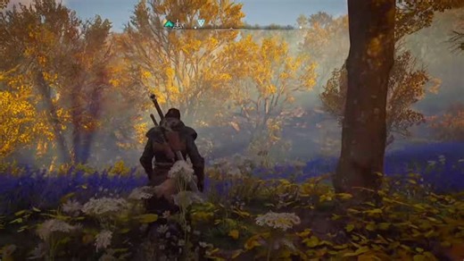 HXM PLAYING on Instagram: "Visuals of Valhalla ❤️‍🔥 Assassin’s Creed Valhalla ✨ #assasinscreed #valhalla #ps5 #gameplay"