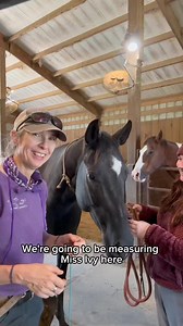 25 reactions | Have you been thinking about ordering a custom halter...