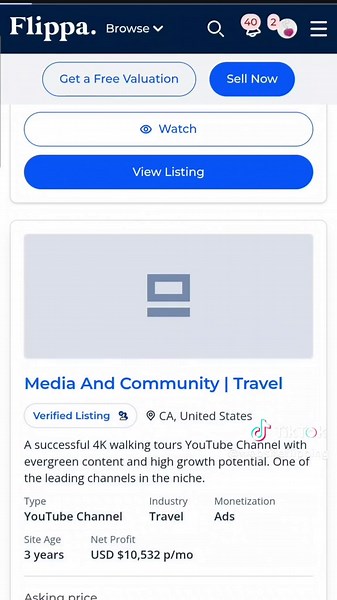 Website Flipping on TikTok