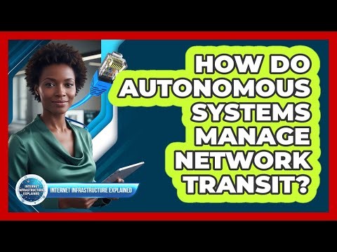 How Do Autonomous Systems Manage Network Transit?