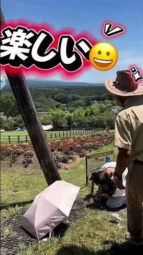 ハイジのブランコ、撮り方ポイント！✨重要✨#まかいの牧場#楽しい#絶景#インスタ映えスポット #富士山#遊び#朝霧#無料