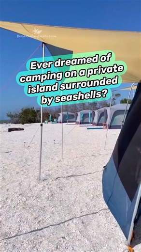 Ever dreamed of camping on a private island surrounded by shells?