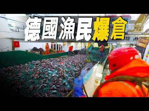 炸裂！德國漁民出海一趟直接爆倉165噸比目魚，深海捕魚是真正敢於冒險人的職業 #大脑洞记事