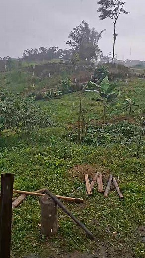 1.6K views · 12 reactions | Fuerte lluvia sector Los Bancos Ecuador | Pesca y Camping en alta Montaña 'FAMILY' | Facebook
