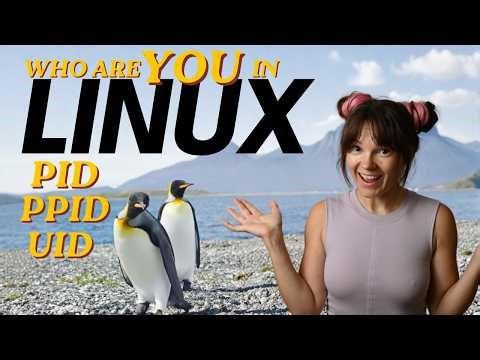 Linux System Programming: PIDs, UIDs, fork(), and System Calls Explained with Real Code