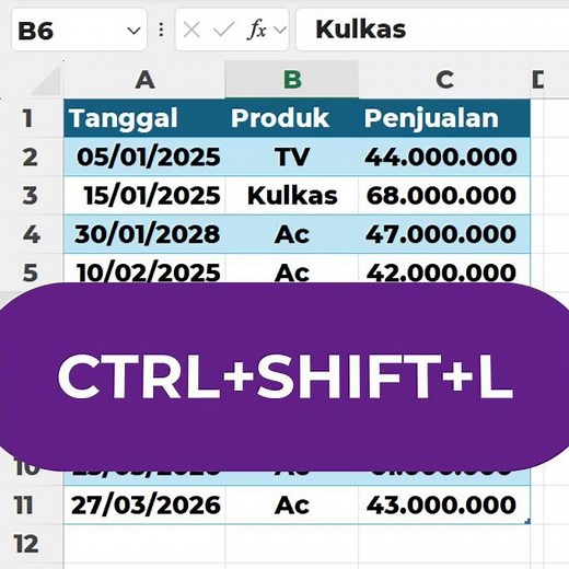 How to Install Filters in Excel in a Flash!