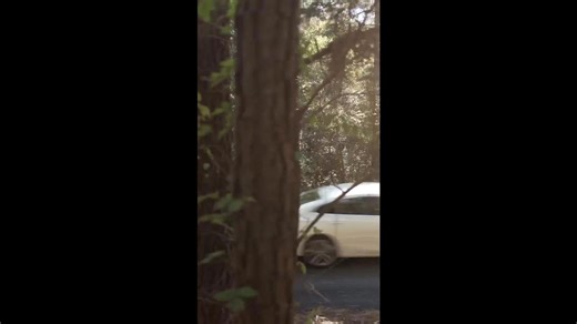 Sharing Good Times In The Piney Woods Of East Texas With Hiking, Wildlife, & Wine