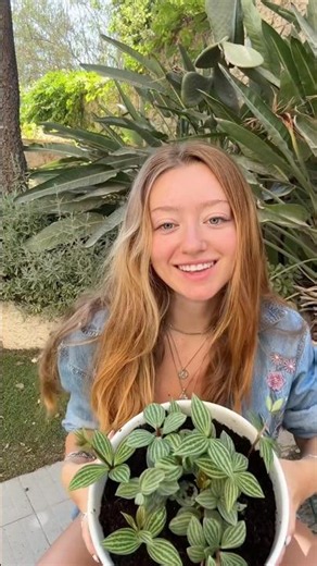 קודחת בקרמיקה בלי שתישבר?? #עציץ #קרמיקה #diy #plants