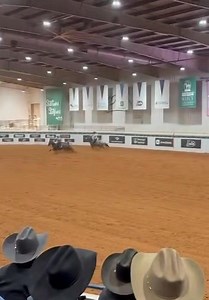 DT Hot Lil Shiney Chex made the best run of the night! It was good enough for a 3rd place finish in the Sr Heading, which paid a little over $15,000 💪🏼 Congratulations to Mark and Pamela Heitz! #DRPerformanceHorses | Dustin Rogers Performance Horses