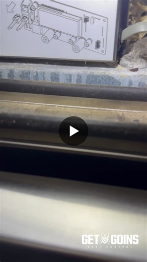 #rodentinspection #rodentcontrol #attichealth #homeprotection #getgoinspestcontrol | Get Goins Pest Control