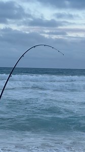 strong rod. #fishing #highlight #1m | Pinoy Australia