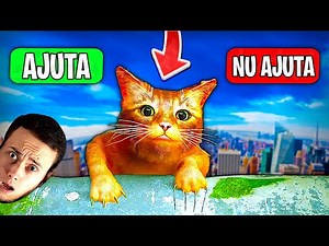 AJUTI Pisica ASTA ? FINAL Stray