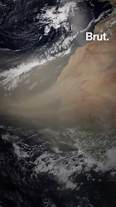 Un gigantesque nuage de sable venu du Sahara s'est abattu sur l'Amérique, le plus grand jamais enregistré. Voilà les images de ce phénomène météorologique exceptionnel, et ses conséquences. | Brut nature FR