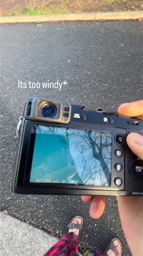 Vishal gadhvi on Instagram: "The last leaf #india #fujifilm #x100f"