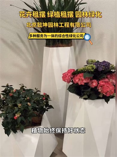 #花卉租摆 #绿植租摆 #园林绿化 #盆景租赁 #盆景租赁多少钱 #盆景租赁公司 #单位花租摆多少钱 #公司花租赁价格