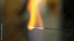 Flaming a microbiology wire loop using asepting technique