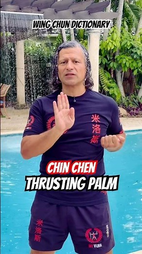 Wing Chun Dictionary | Chin Chen (Forward Palm Strike)