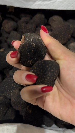 3.6K reactions · 85 shares | #Blacktruffle #truffle | Yang Yang | Facebook