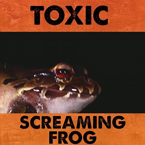 76K views · 860 reactions | This frog is HUGE... and it screams?! | Coyote Peterson | Facebook