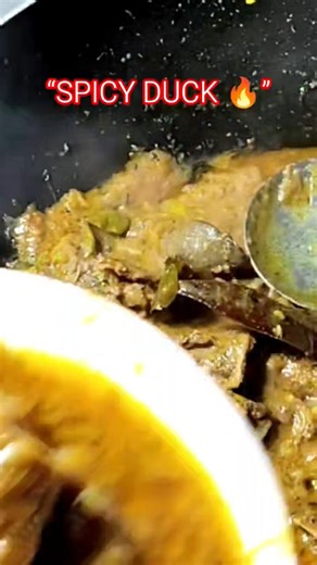 Rich, spicy & full of flavor 🦆🔥Try this authentic Duck Salan at home today!