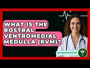 What Is The Rostral Ventromedial Medulla (RVM)? - Pain Medicine Network