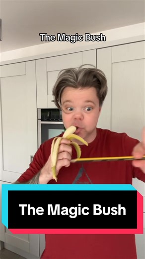 Thomas Learns From Foliage? Funny British Skit