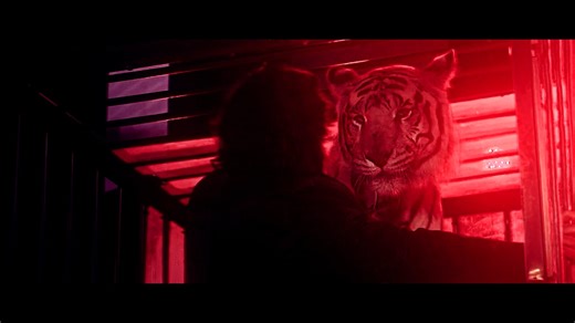 MASTER OF MAGIC SHOW