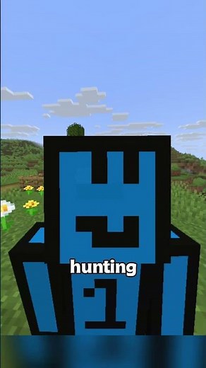 Best Y levels 😳 #minecraft