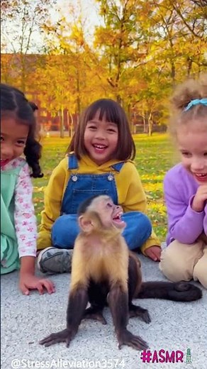 Adorable Moment! Girls and Monkeys Become Instant Best Friends 🐒💖😂