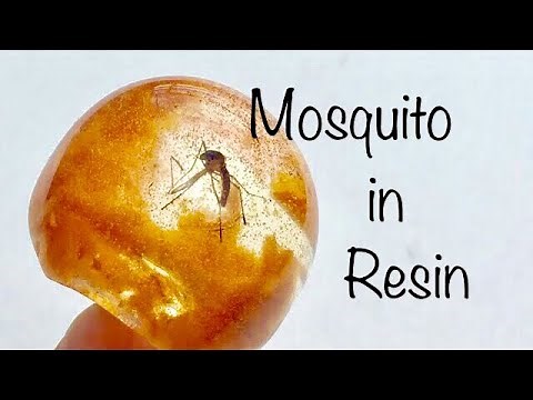 木とレジンの指輪 虫入り琥珀 の作り方 How to make wood and epoxy ring /mosquito in amber inspire the jurassic world.
