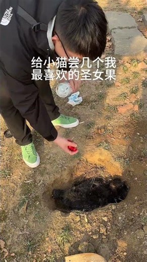 兄弟们今天不搞笑