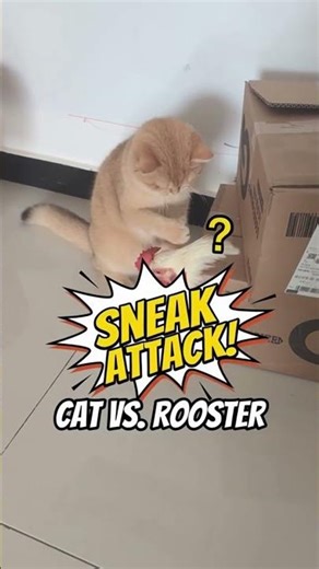 My Cat's First Outdoor Adventure A Wild Side Revealed