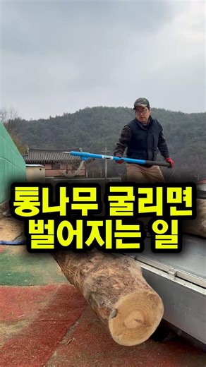 통나무 굴렸더니 벌어지는 일 #체인톱아트 #woodworking #diy #woodwork 누구나 쉽게 할수있는 좌탁만들기