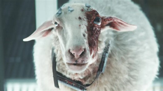 How they made the terrifying eye monster in Alien: Earth