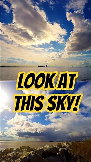 You Won't Believe How Busy the River Humber Is 🚢
