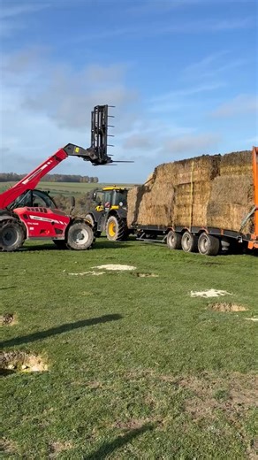 6.8K views · 21 reactions | Le faire à cheval on Reels | Facebook