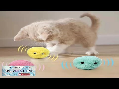Interactive Ball Smart Cat Toys Plush Electric Catnip Training Toy Kitten Touch