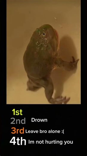 Frogs screaming moments