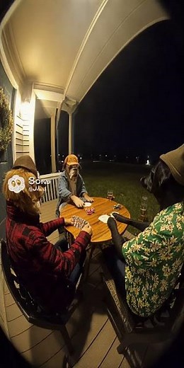 What Happens When Dogs Play Cards? #meme #funny #sora #dogs #cards