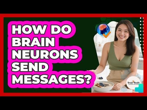 How Do Brain Neurons Send Messages?