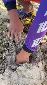 bahayan 🌊🥒🌬️ | Team Arkangel