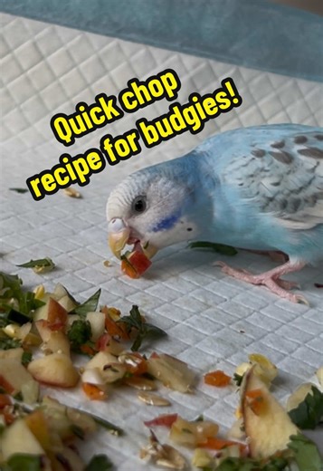 Quick Chop Recipe for Budgies: Healthy Veggie Mix