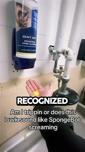 Who Is Inside This Soap Dispenser?