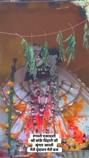 Rang Bhari Ekadashi 2026 | #vrindavan #bankebihari #bhakti #holi #rangbhariekadashi