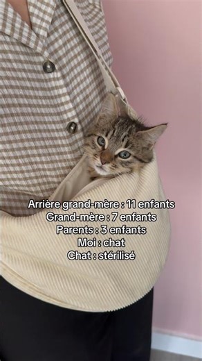 Mon chat c’est mon fils 🤍 #chat