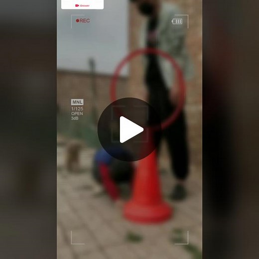 #answer to @your._.nigerian._.baes #foryou #foryoupage #viralvideo #trending #standwithkashmir #amazing_dog_trannig836