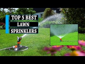 Lawn Sprinkler: 5 Best Lawn Sprinklers in 2025 || You Can Buy Now