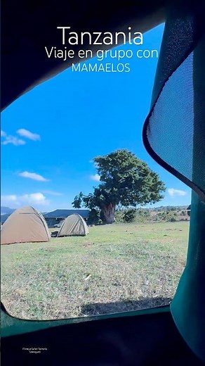 Tanzania el mejor Safari de mi vida en el Serengueti animales África Mamaelos consejos