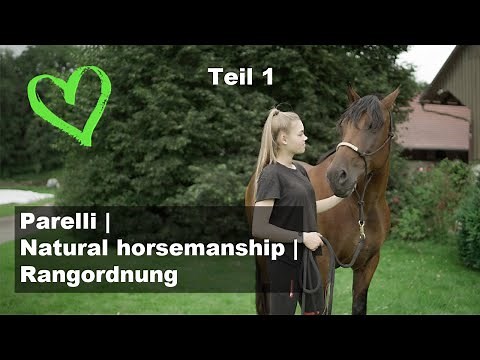 7 Spiele nach Pat Parelli | Natural horsemanship I Rangordnung
